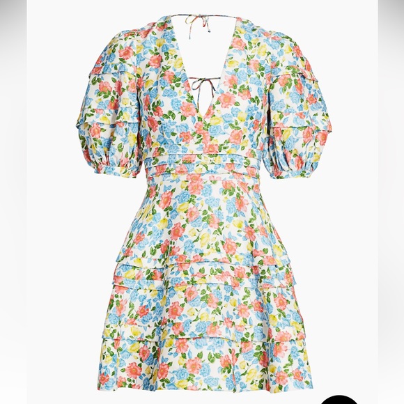 Amur Avian Floral Mini Dress size 8 - Picture 1 of 11